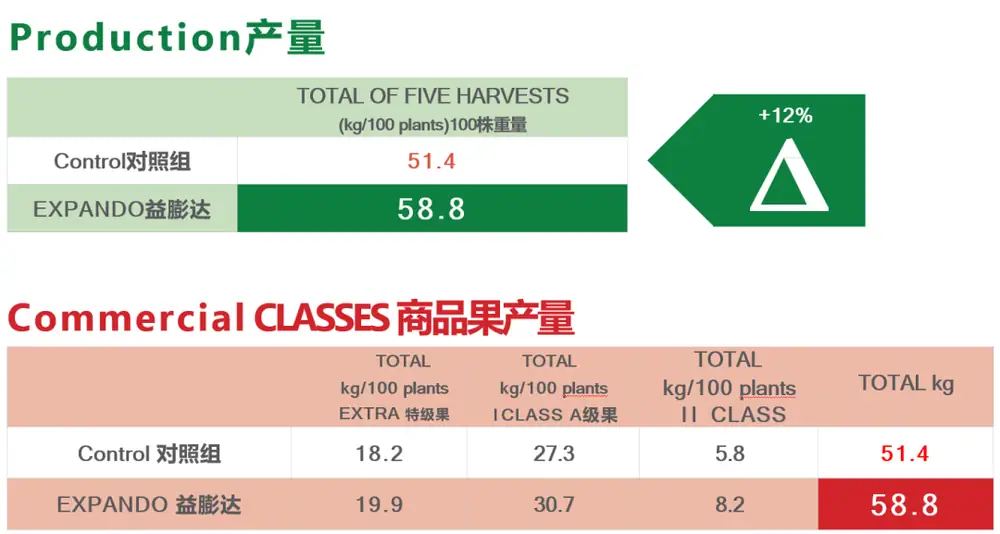 益膨达——果实自然膨大，更多A级果
