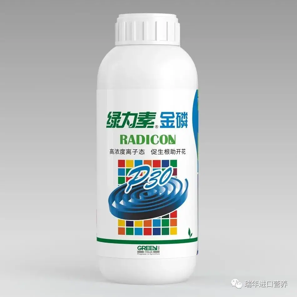 [GREEN SOLUTION]绿力海康进行种子处理的机理和效果