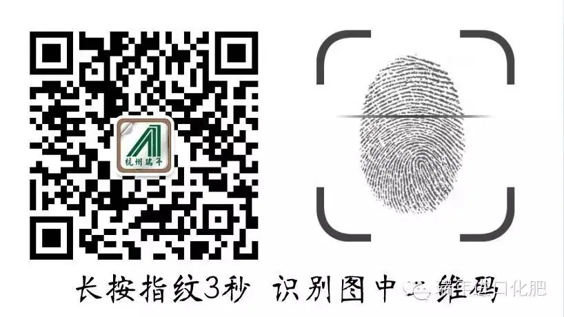 云南元谋举办绿力优根现场观摩会