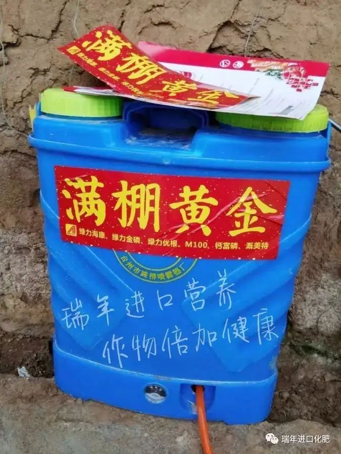 寿光菜农使用瑞年进口营养套餐获得好收成