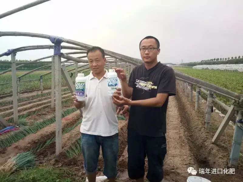 骄阳夏日，杭州瑞年为广大种植户提供技术服务