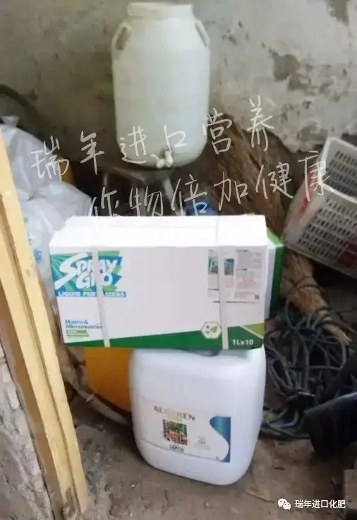寿光菜农使用瑞年进口营养套餐获得好收成