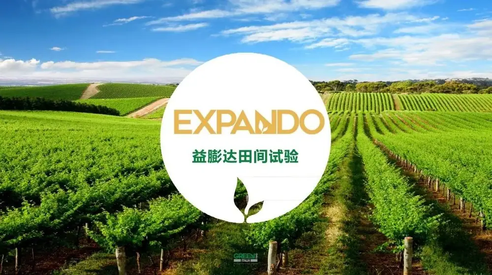 益膨达——果实自然膨大，更多A级果