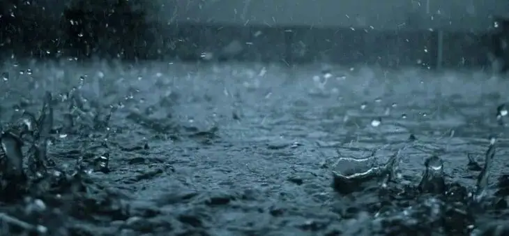 持续暴雨过后，如何拯救我们受伤的农作物