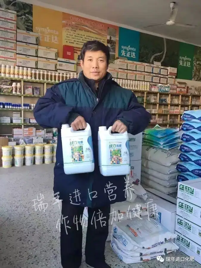 寿光菜农使用瑞年进口营养套餐获得好收成