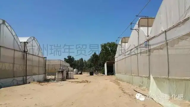 杭州瑞年访问以色列农业研究中心