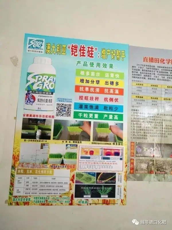 世普瑞铠佳硅水稻种浸种试验
