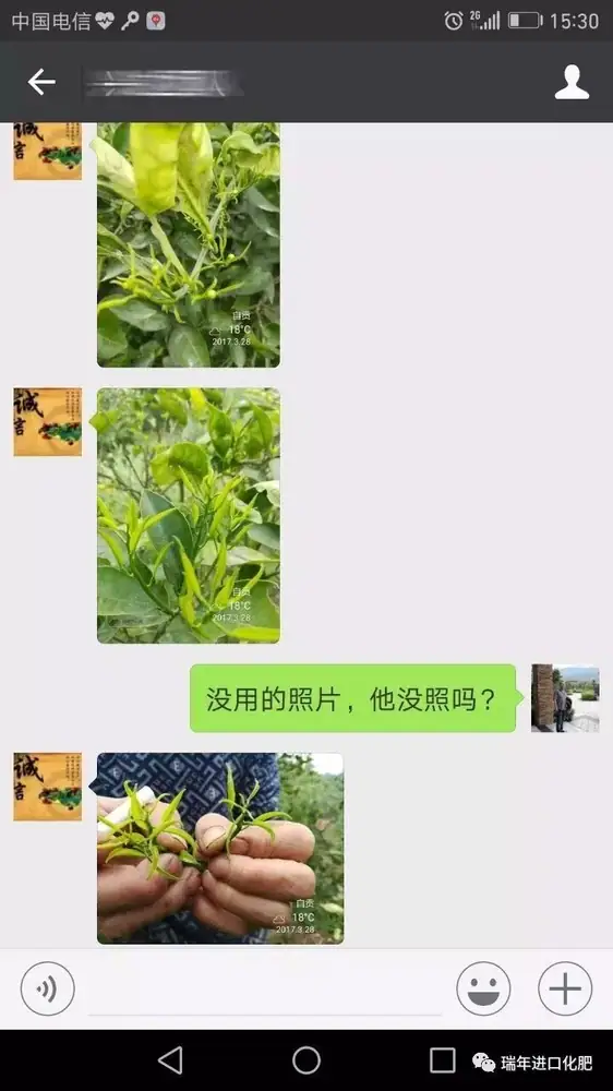 柑橘用海施康，枝头萌发旺
