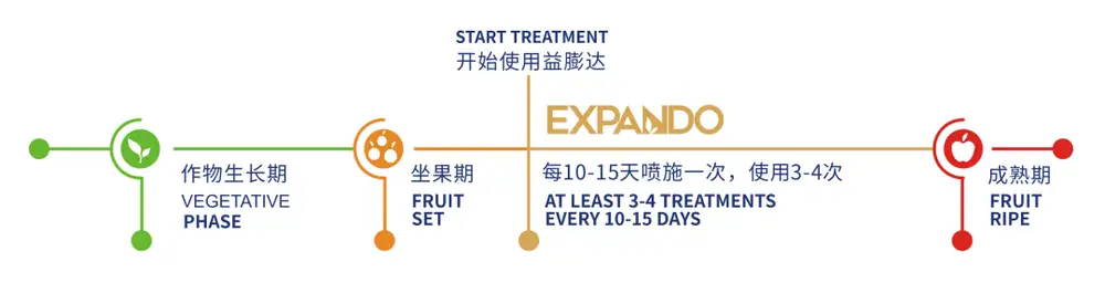 益膨达——果实自然膨大，更多A级果
