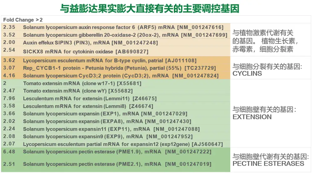 益膨达——果实自然膨大，更多A级果