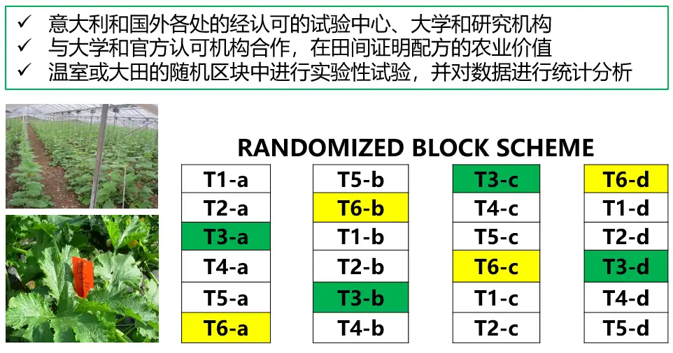 益膨达——果实自然膨大，更多A级果