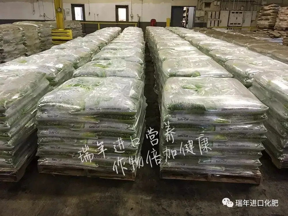 杭州瑞年考察美国化肥市场