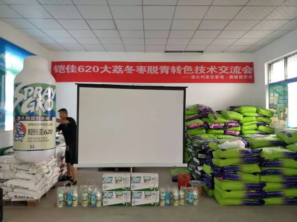澳大利亚世普瑞在陕西大荔举办冬枣脱青转色技术交流会
