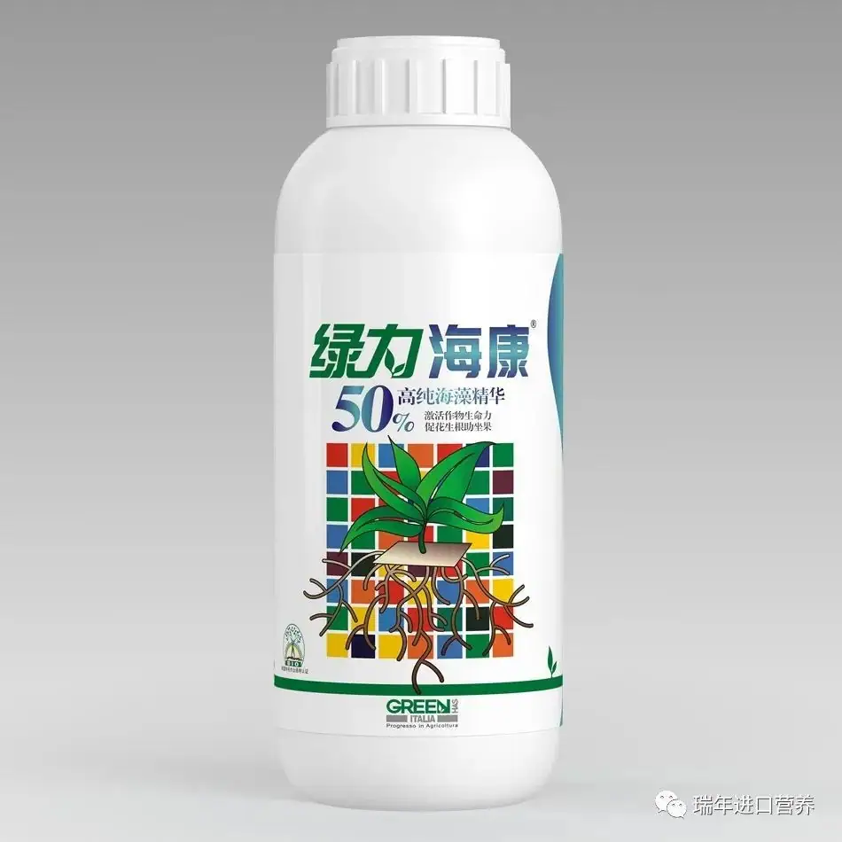 [GREEN SOLUTION]绿力海康进行种子处理的机理和效果