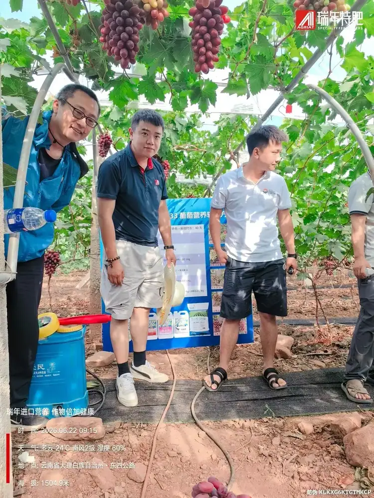 观摩会上，农户在园中对比转色效果