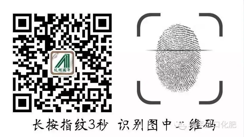 持续暴雨过后，如何拯救我们受伤的农作物