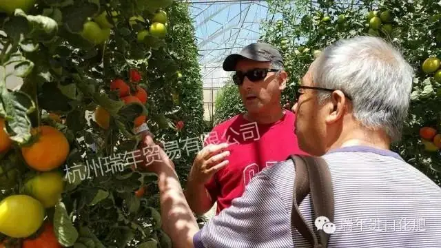 杭州瑞年访问以色列农业研究中心