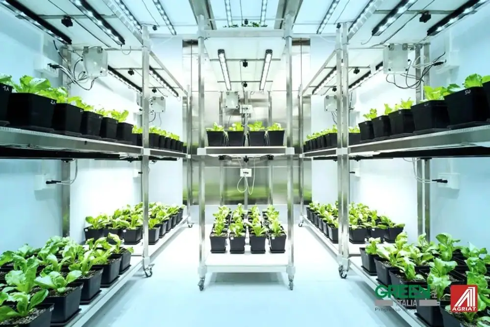 意大利特肥研究登上《Nature》杂志！