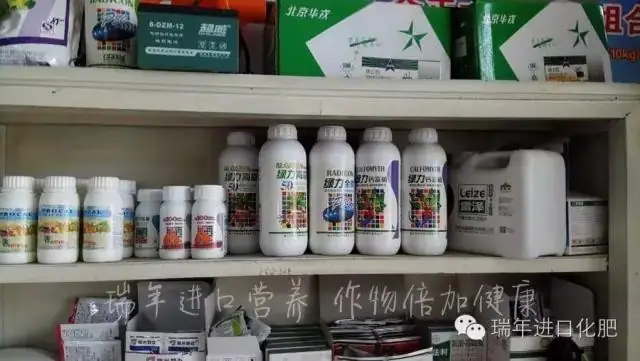 用瑞年营养套餐，大姜农户获丰收