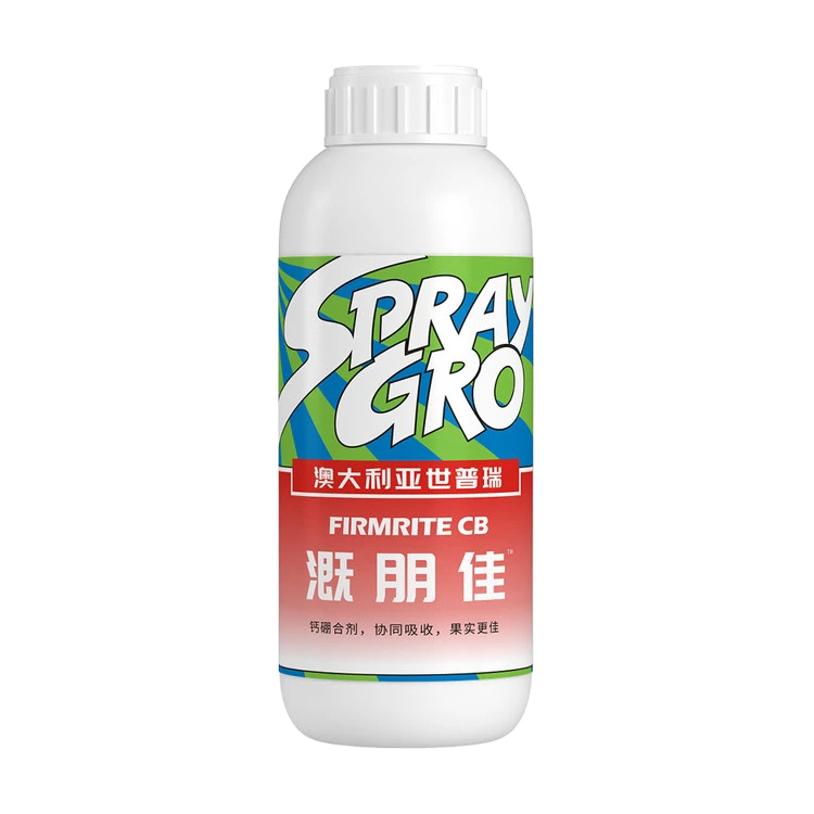 溉朋佳