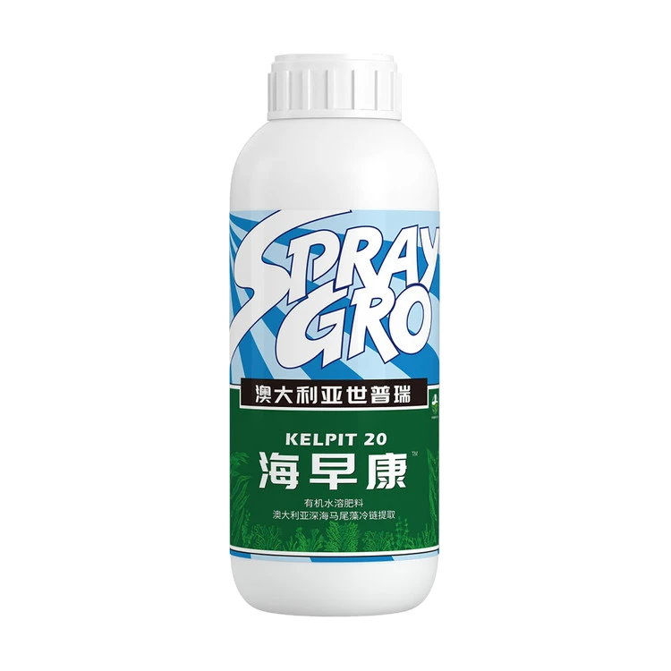 海早康