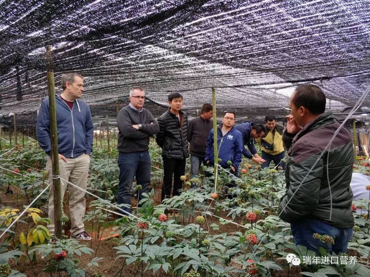 图片关键词 图片关键词