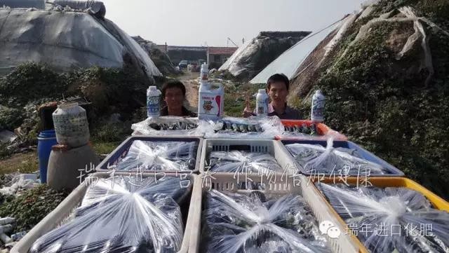 1573005653204988.jpg 图片关键词
