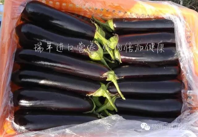 1573005653242704.jpg 图片关键词