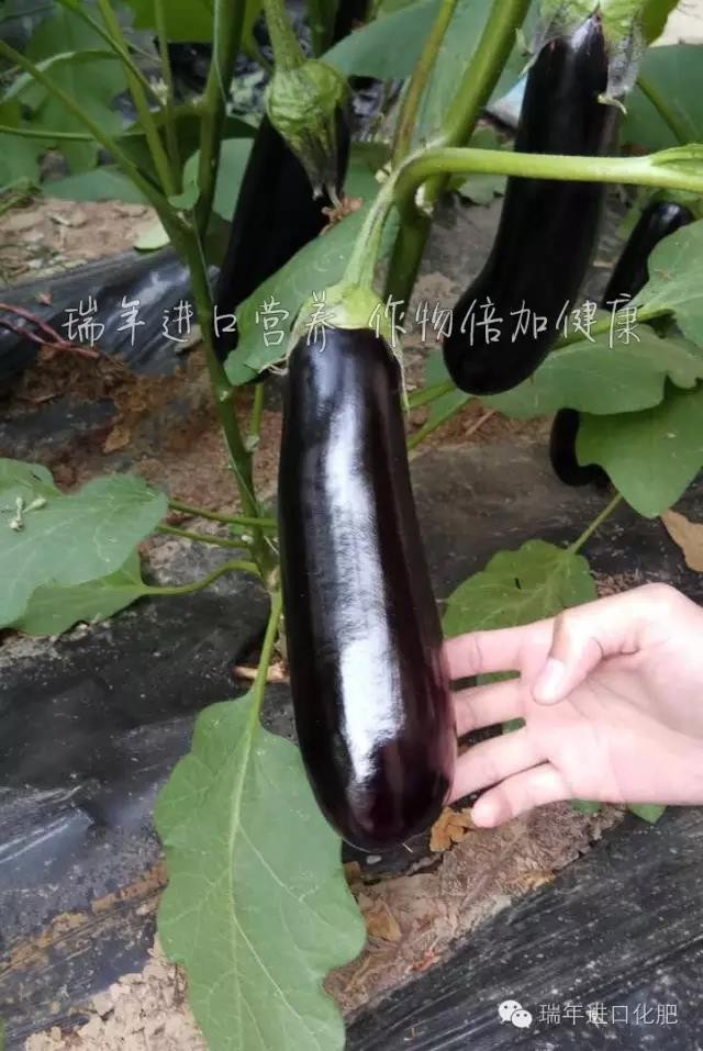 1573005653791502.jpg 图片关键词
