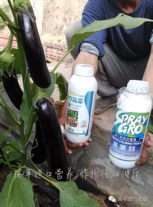 1573005653877935.jpg 图片关键词