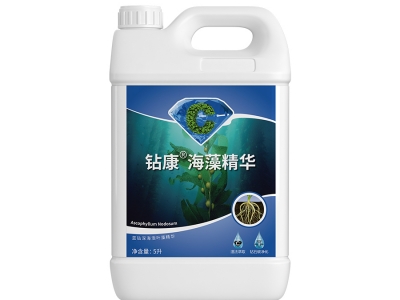 钻康海藻精华
