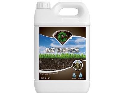钻康根深叶茂素