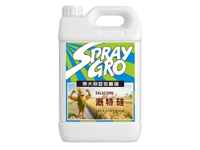 溉特硅